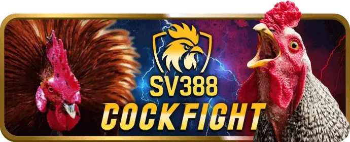 Hỗ trợ khách hàng ff168